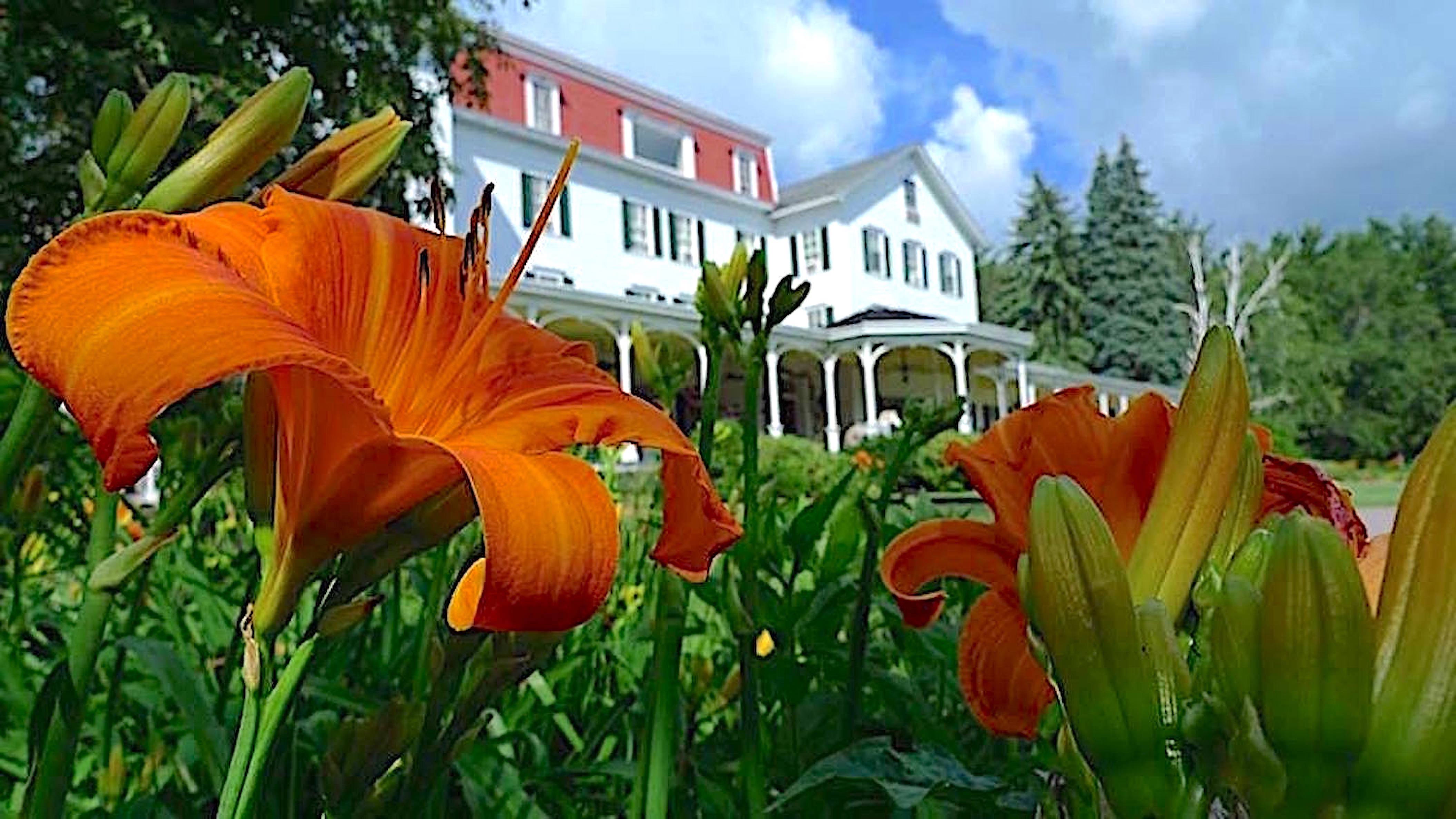Upstate New York Spring, Orange and red flowers with white inn in background.
