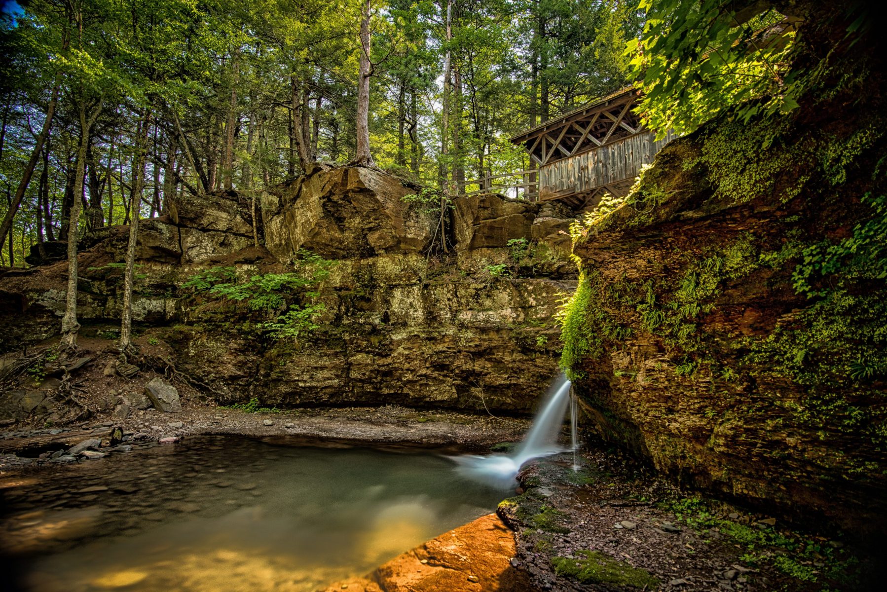 Artists Falls and bridge.