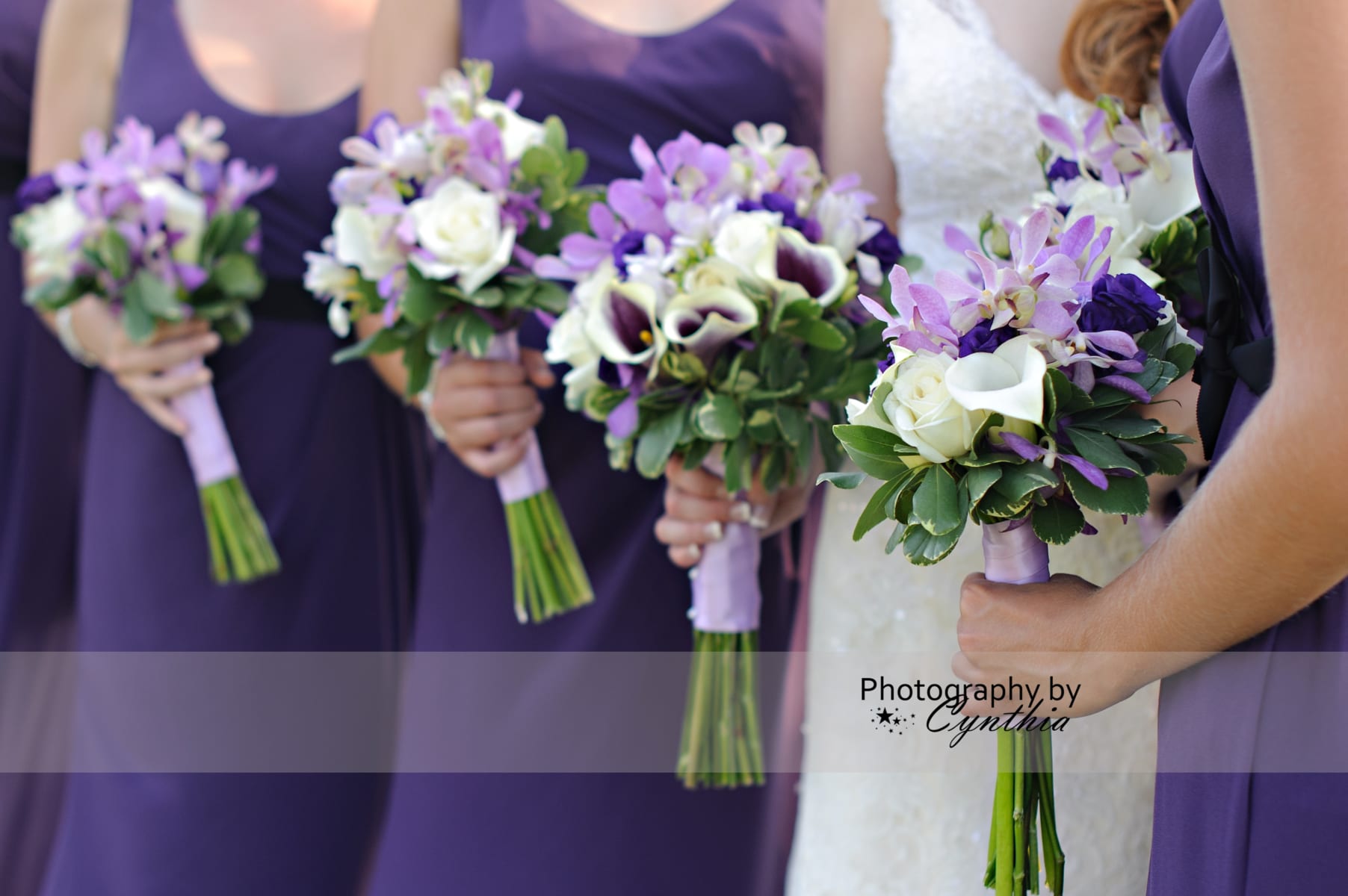 Bride and bridesmaids with bouquets.
