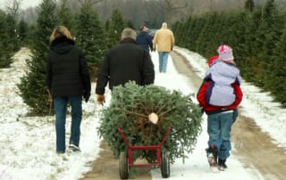Familly pulling a fir tree on a wagon.