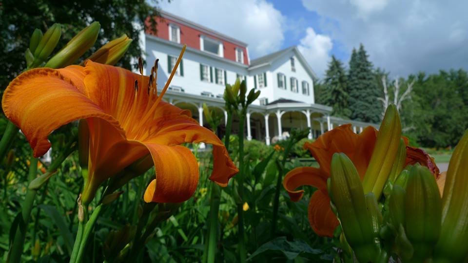 Spring flowers in Catskill Mountains Catskills Resort, Winter Clove Inn during summer