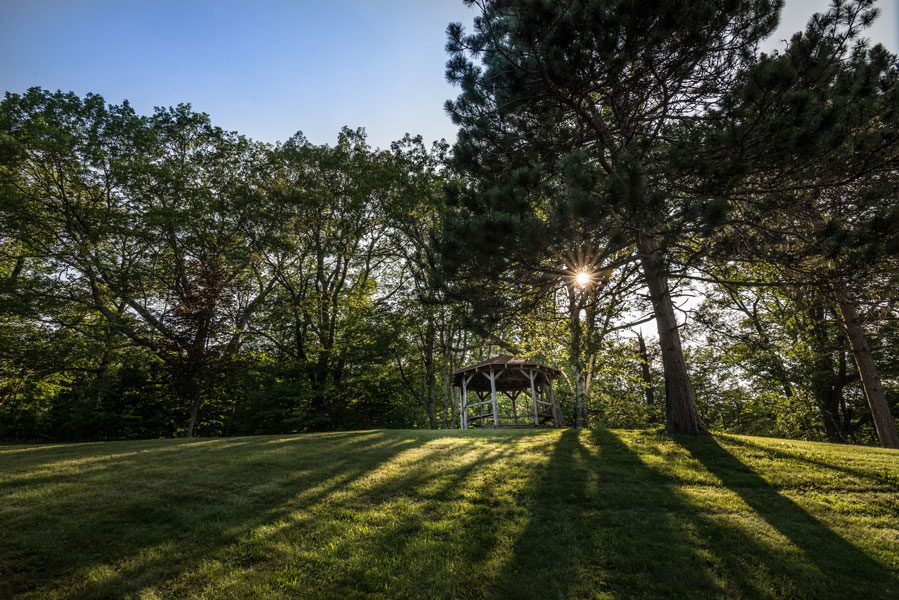 specials-page-full-week